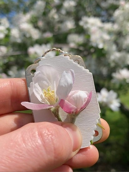 FloraLock™ Micro Press — Preserve Fragile Flowers Easily