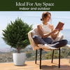 EverVerde™ Artificial Cedar Topiary Tree – Effortless lush greenery that stays vibrant all year round