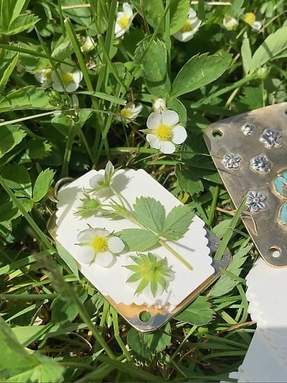 FloraLock™ Micro Press — Preserve Fragile Flowers Easily