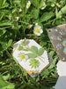 FloraLock™ Micro Press — Preserve Fragile Flowers Easily