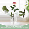 GrowMate™ Plant Propagation Helpers — Help Your Plants Grow Bigger, Stronger, and More Beautiful Every Day (3 pcs)