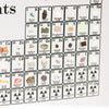 Elemental™ – Stimulates Scientific Curiosity