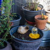 NectarNest™ — Create a Bee-Friendly Haven in Your Backyard