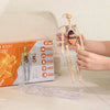 AnaVista™ – Discover the secrets of the human body with practical, astonishing clarity