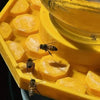 NectarNest™ — Create a Bee-Friendly Haven in Your Backyard