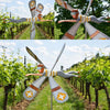 BreezeBird™ — Turn Your Garden into a Colorful Bird Catcher with Fascinating Spins