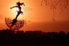 Celestara™ Fairy Sculpture – Ignite Endless Magic and Serenity in Your Garden
