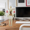 AnaVista™ – Discover the secrets of the human body with practical, astonishing clarity