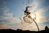 Celestara™ Fairy Sculpture – Ignite Endless Magic and Serenity in Your Garden
