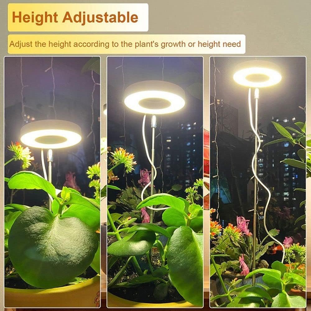FloraShine™ – Versatile Lighting