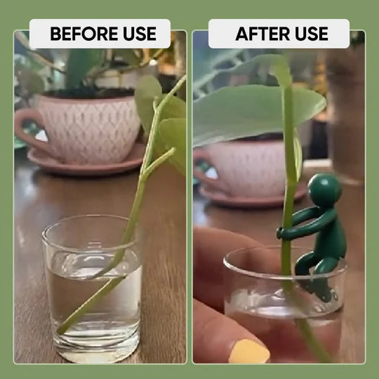 GrowMate™ Plant Propagation Helpers — Help Your Plants Grow Bigger, Stronger, and More Beautiful Every Day (3 pcs)