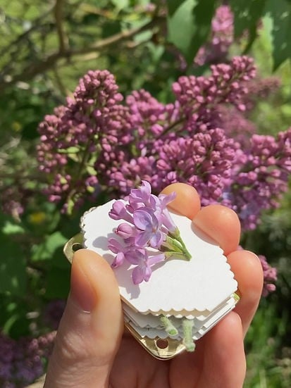 FloraLock™ Micro Press — Preserve Fragile Flowers Easily
