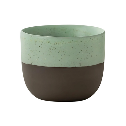 1+1 Free | Hikari™ Japanese Ceramic Teacup