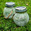 1+1 Free | NightGlow™ Stylish Garden Beautification