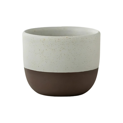 1+1 Free | Hikari™ Japanese Ceramic Teacup