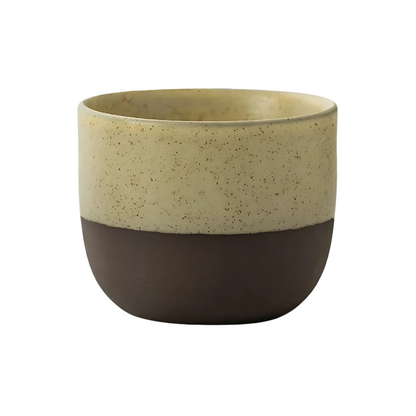 1+1 Free | Hikari™ Japanese Ceramic Teacup