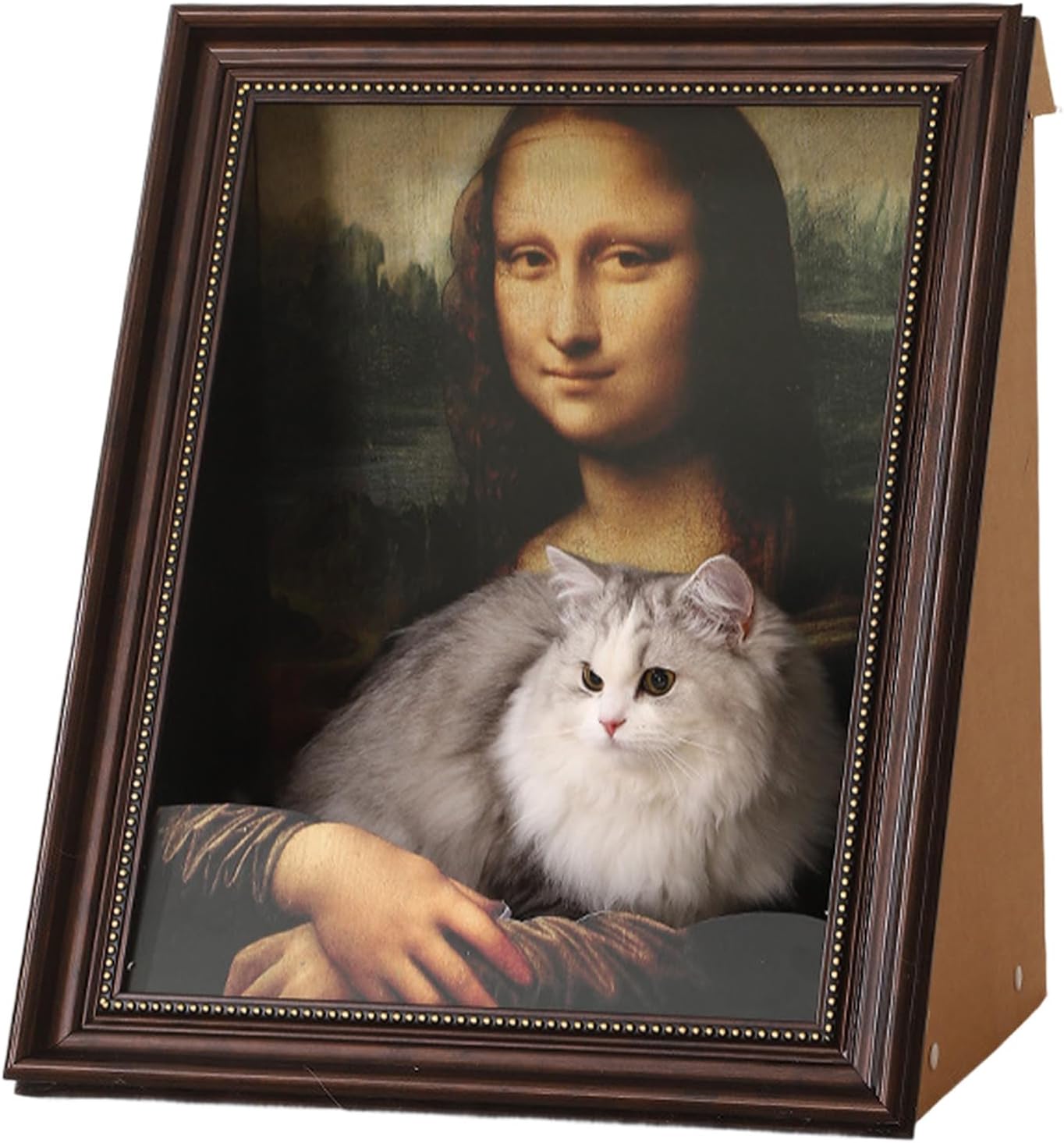 VelvePaw™ — The ultimate scratching and snoozing paradise that your cat will love