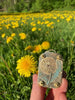 FloraLock™ Micro Press — Preserve Fragile Flowers Easily