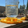 NectarNest™ — Create a Bee-Friendly Haven in Your Backyard
