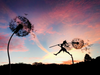 Celestara™ Fairy Sculpture – Ignite Endless Magic and Serenity in Your Garden