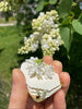 FloraLock™ Micro Press — Preserve Fragile Flowers Easily