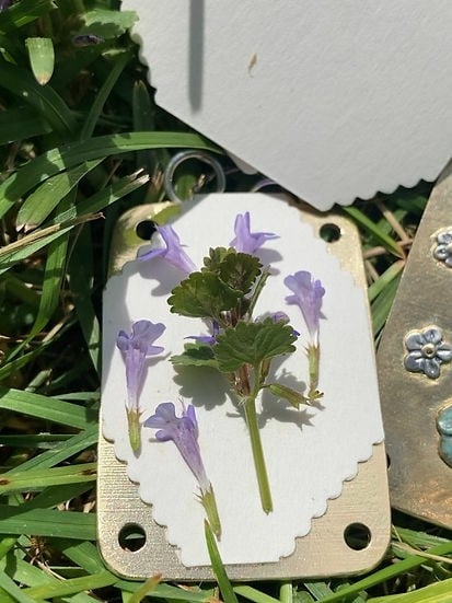 FloraLock™ Micro Press — Preserve Fragile Flowers Easily