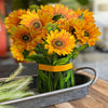 FloraWish™ Card – Blooms into Flowers