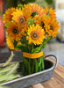 Bloomlet™ - Flowers That Bloom Forever!