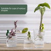 GrowMate™ Plant Propagation Helpers — Help Your Plants Grow Bigger, Stronger, and More Beautiful Every Day (3 pcs)