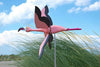 BreezeBird™ — Turn Your Garden into a Colorful Bird Catcher with Fascinating Spins
