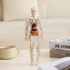 AnaVista™ – Discover the secrets of the human body with practical, astonishing clarity