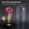 EterniRose™ - The Everlasting Rose For Special Moments!