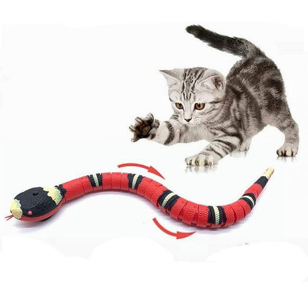 Smart Snake™ - Endless fun for your pet!